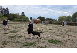 20261004_093616