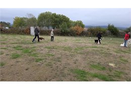 20261018_093704